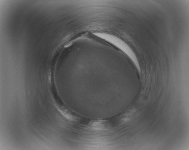 X0000067880072200604131313