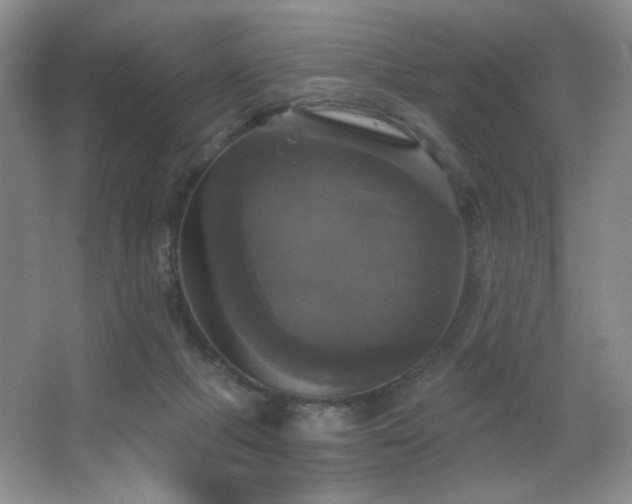 X0000067880073200604131313