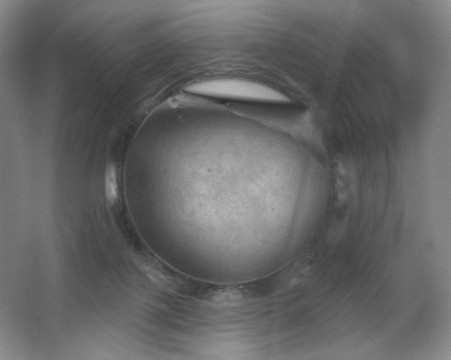 X0000067880075200604131313
