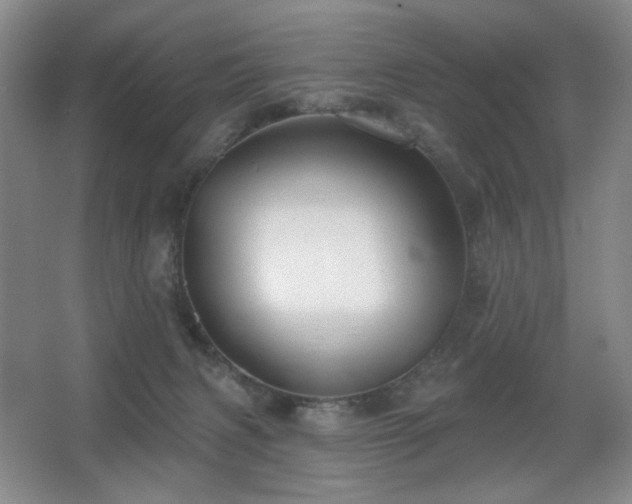 X0000067880079200604131313