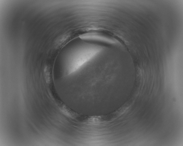 X0000067880080200604131313