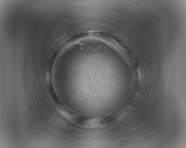 X0000067880084200604131313