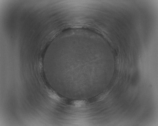 X0000067880085200604131313