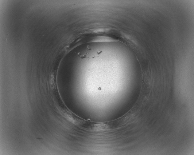 X0000067880087200604131313