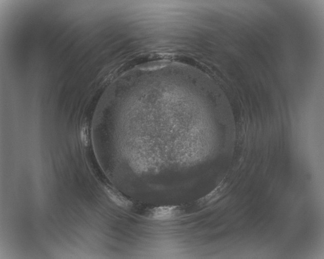 X0000067880090200604131313