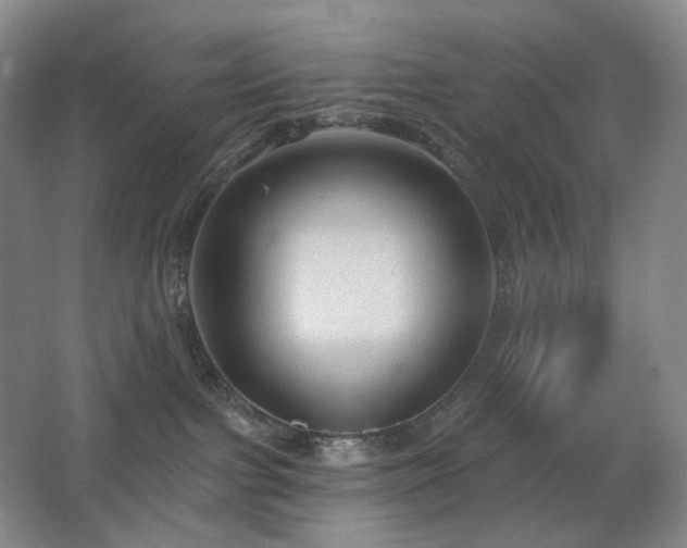 X0000067880091200604131313