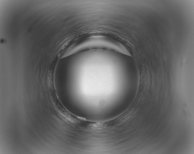 X0000067880092200604131313