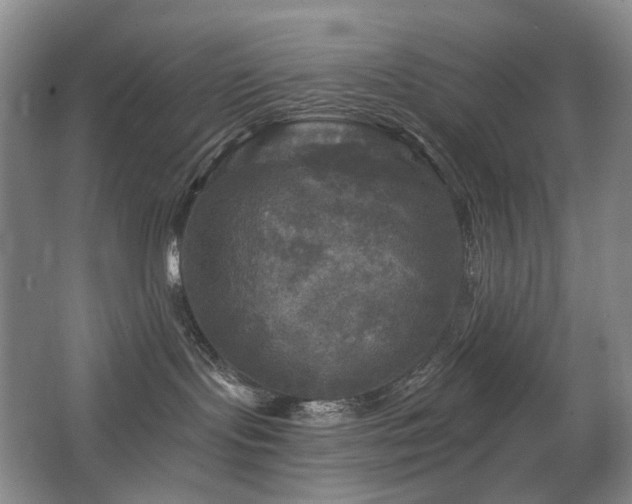 X0000067880095200604131314