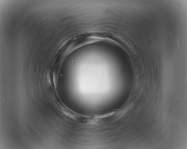 X0000067880096200604131314