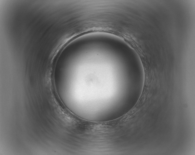 X0000067880098200604131313