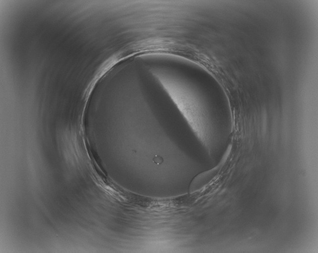 X0000067880099200604131313