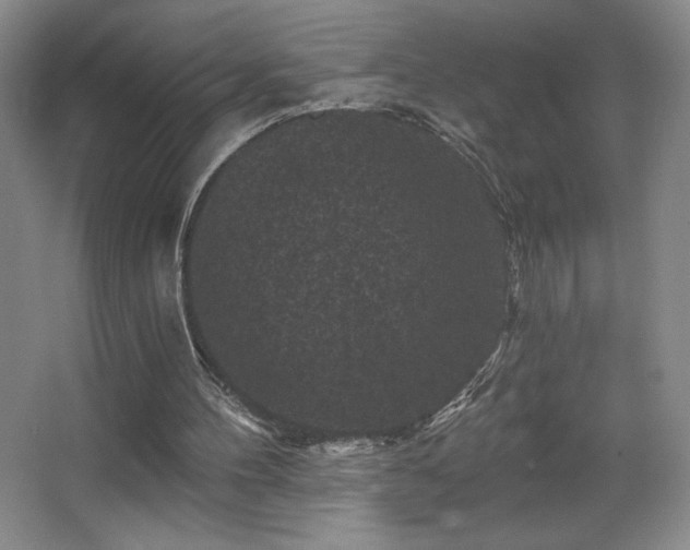 X0000067880100200604131313