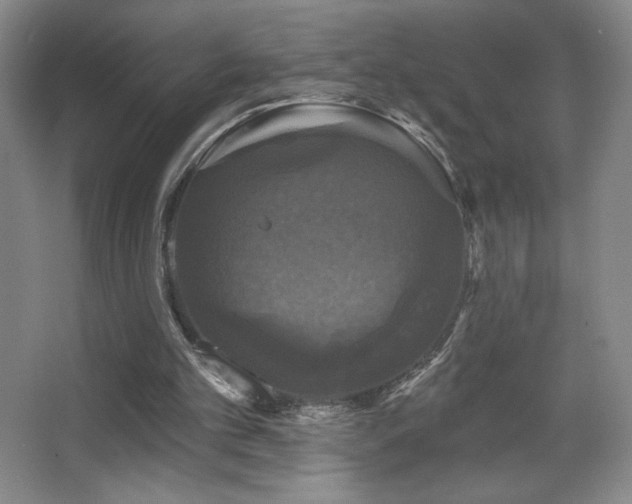 X0000067880101200604131313