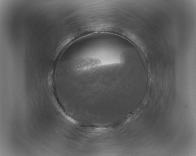 X0000067880105200604131313