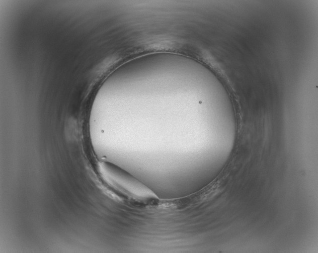 X0000067880106200604131313