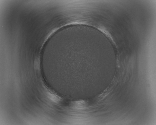 X0000067880108200604131313