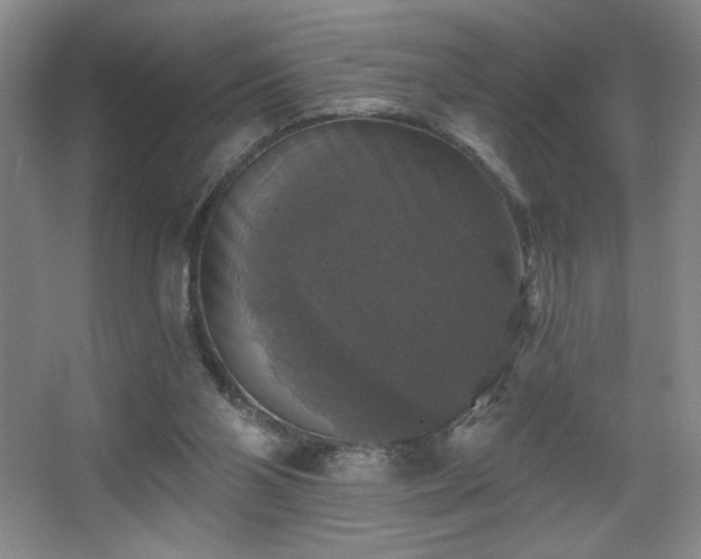 X0000067880110200604131313