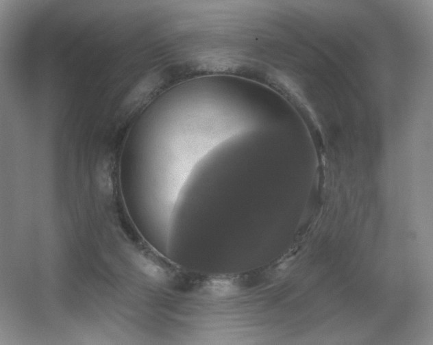 X0000067880114200604131312