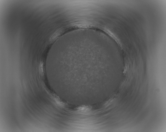 X0000067880117200604131312