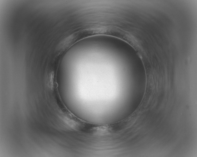X0000067880118200604131312