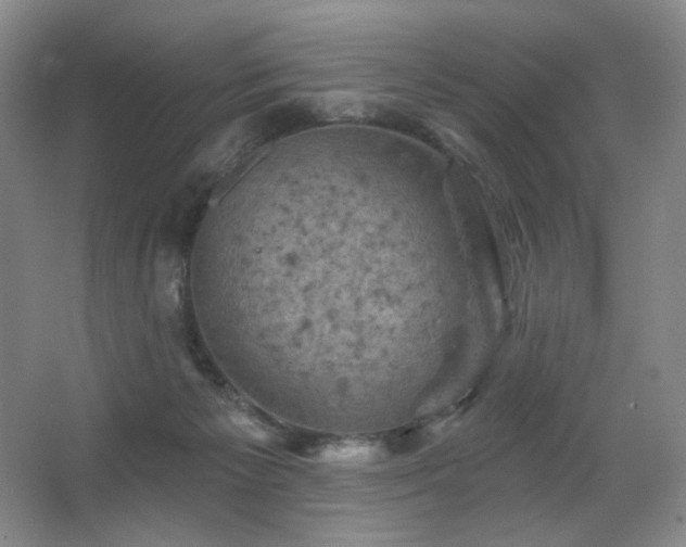X0000067880125200604131312