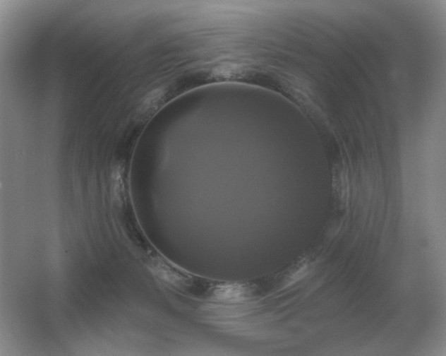 X0000067880127200604131312