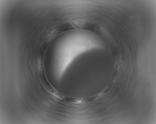 X0000067880130200604131312