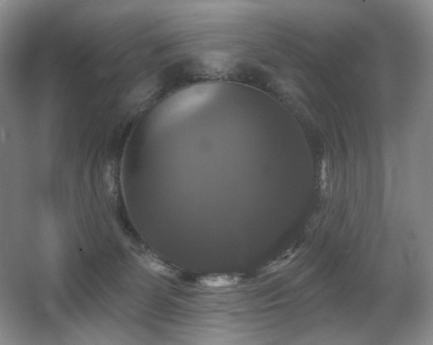 X0000067880131200604131312