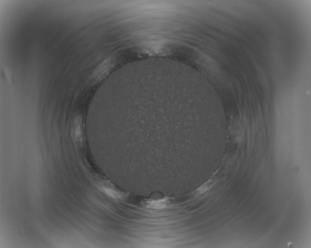X0000067880132200604131312