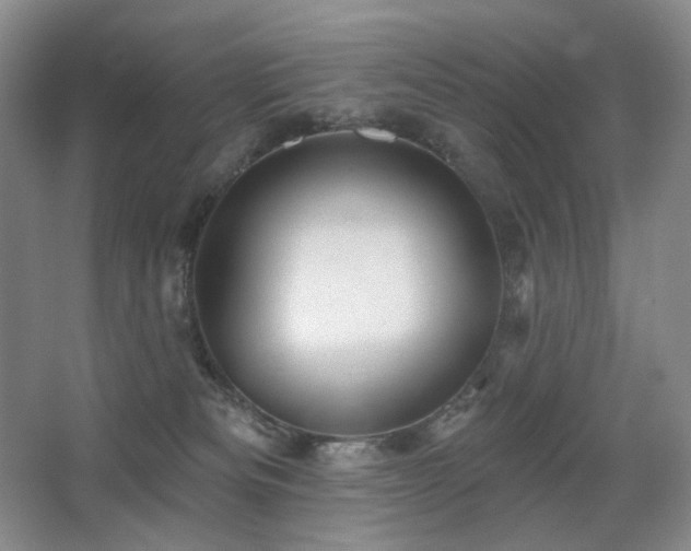 X0000067880133200604131312