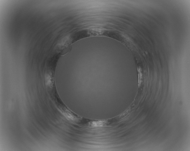 X0000067880134200604131312