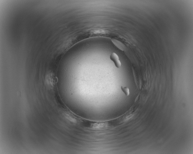 X0000067880135200604131312