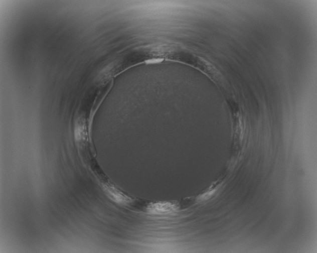X0000067880137200604131312