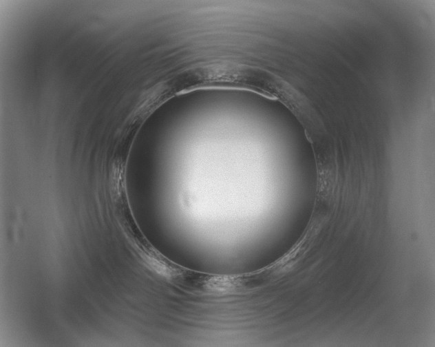 X0000067880142200604131312