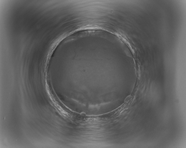 X0000067880145200604131311
