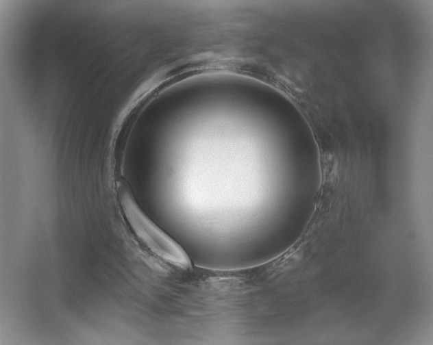 X0000067880150200604131311