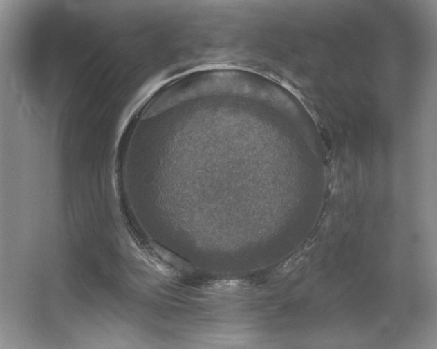 X0000067880152200604131311