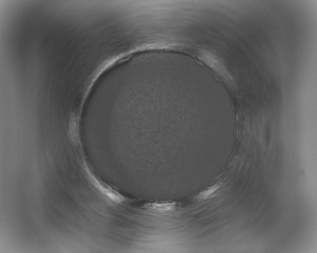 X0000067880156200604131311