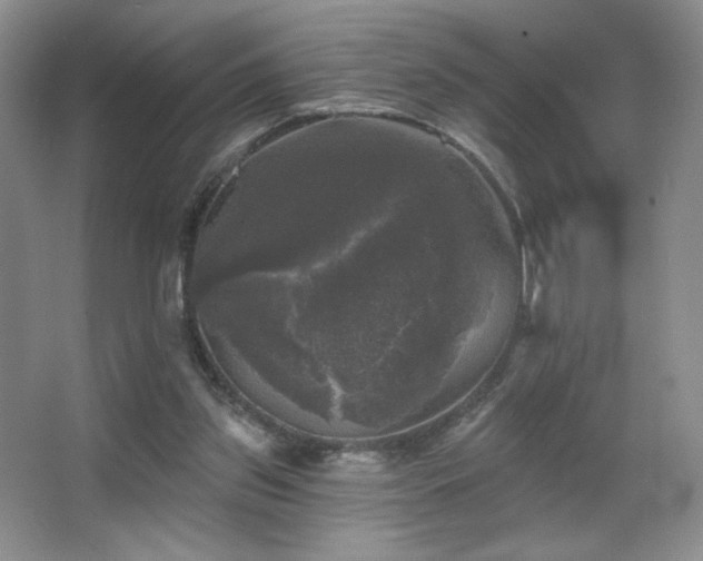 X0000067880157200604131311
