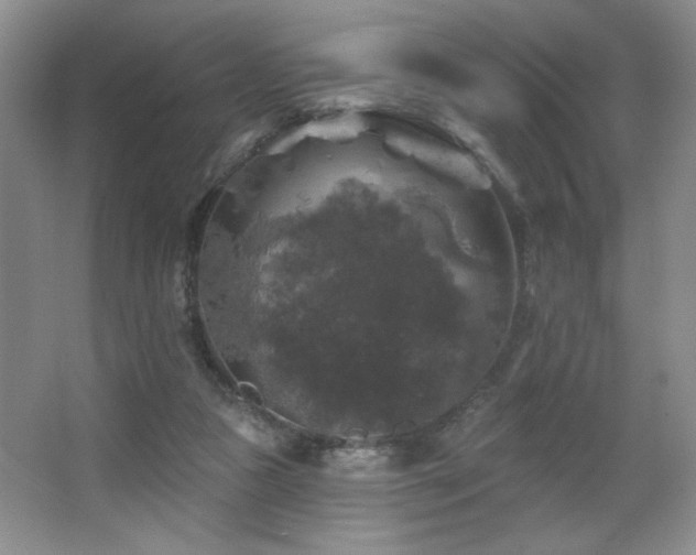 X0000067880161200604131311