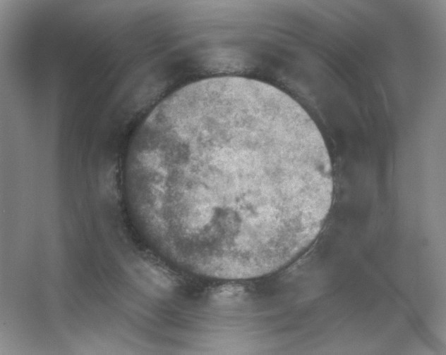 X0000067880162200604131311