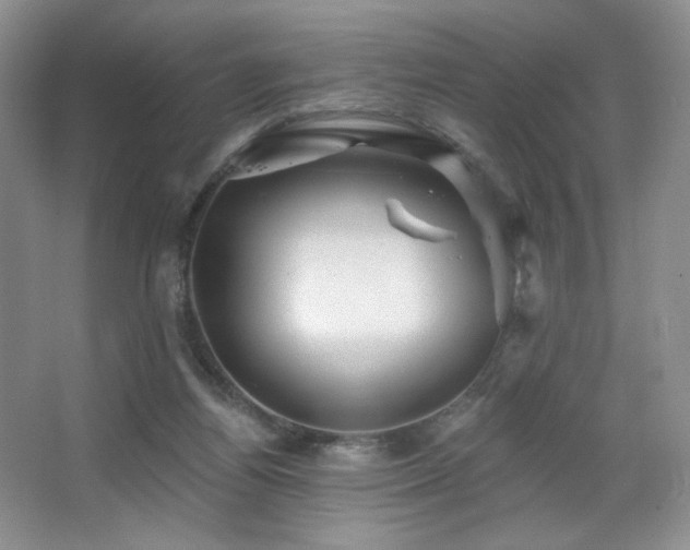X0000067880164200604131311