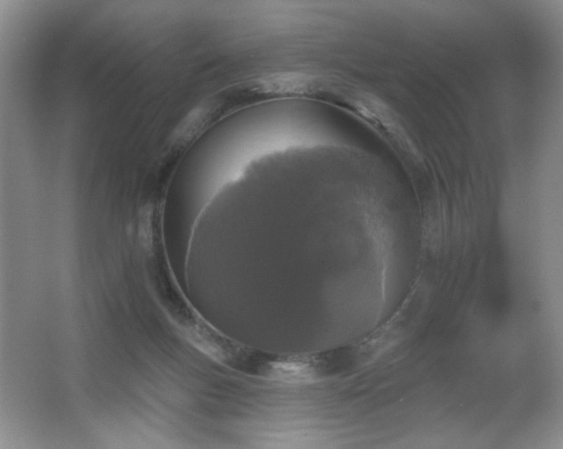 X0000067880167200604131311