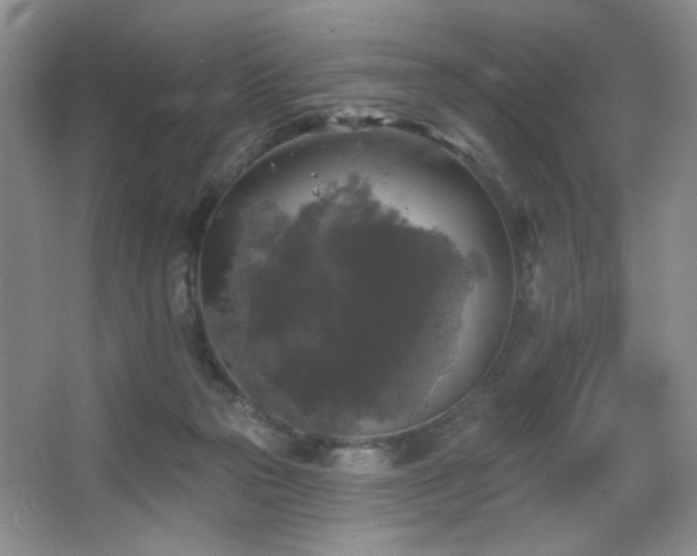 X0000067880169200604131312