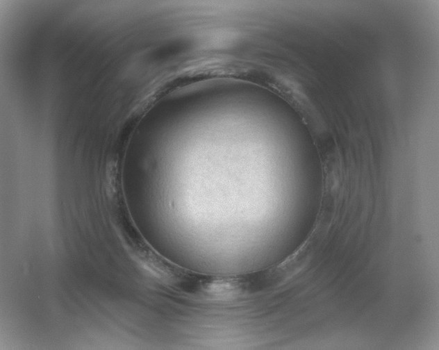 X0000067880171200604131312
