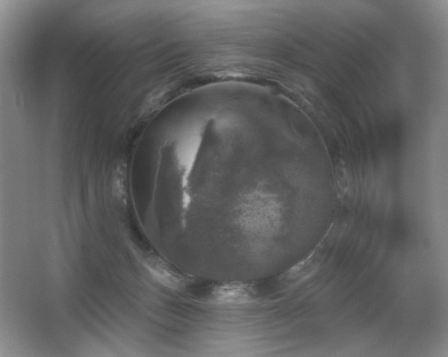 X0000067880175200604131312