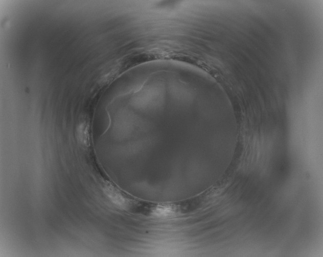 X0000067880177200604131312