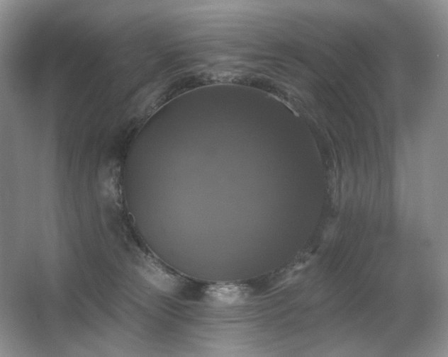 X0000067880181200604131312