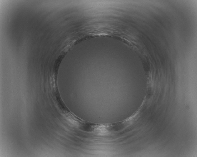 X0000067880182200604131312
