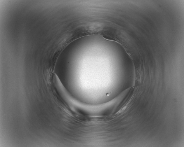 X0000067880184200604131312